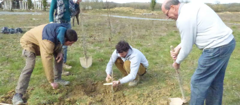 Journées de rencontre avec l'arbre à Marciac
