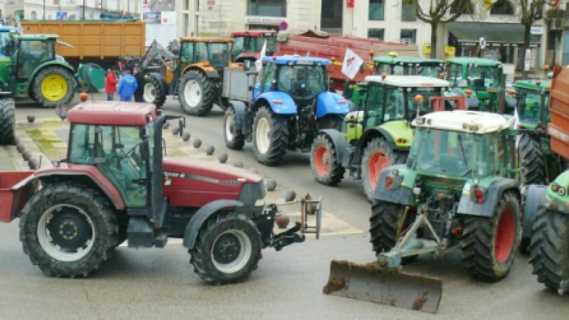 FDSEA et JA : Nouvelle action d'envergure sur le parvis de la cathédrale d'Auch 
