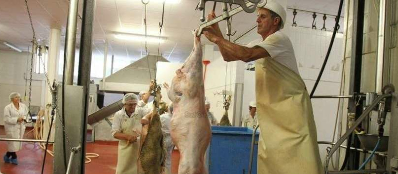 Réouverture en perspective pour l'abattoir de Condom