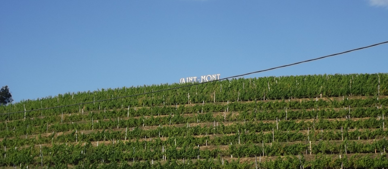 Saint Mont vignoble en fêtes