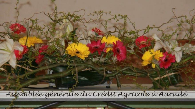 Assemblée Générale du Crédit Agricole à Auradé
