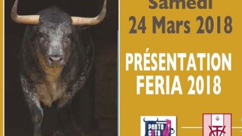 RENCONTRES TAURINES