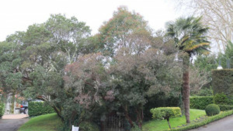 Faites des jardins