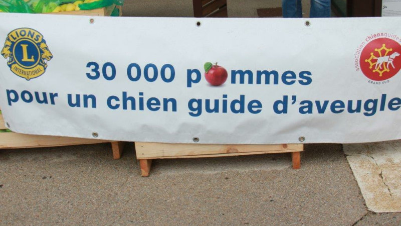 30000 POMMES POUR UN CHIEN GUIDE D’AVEUGLE