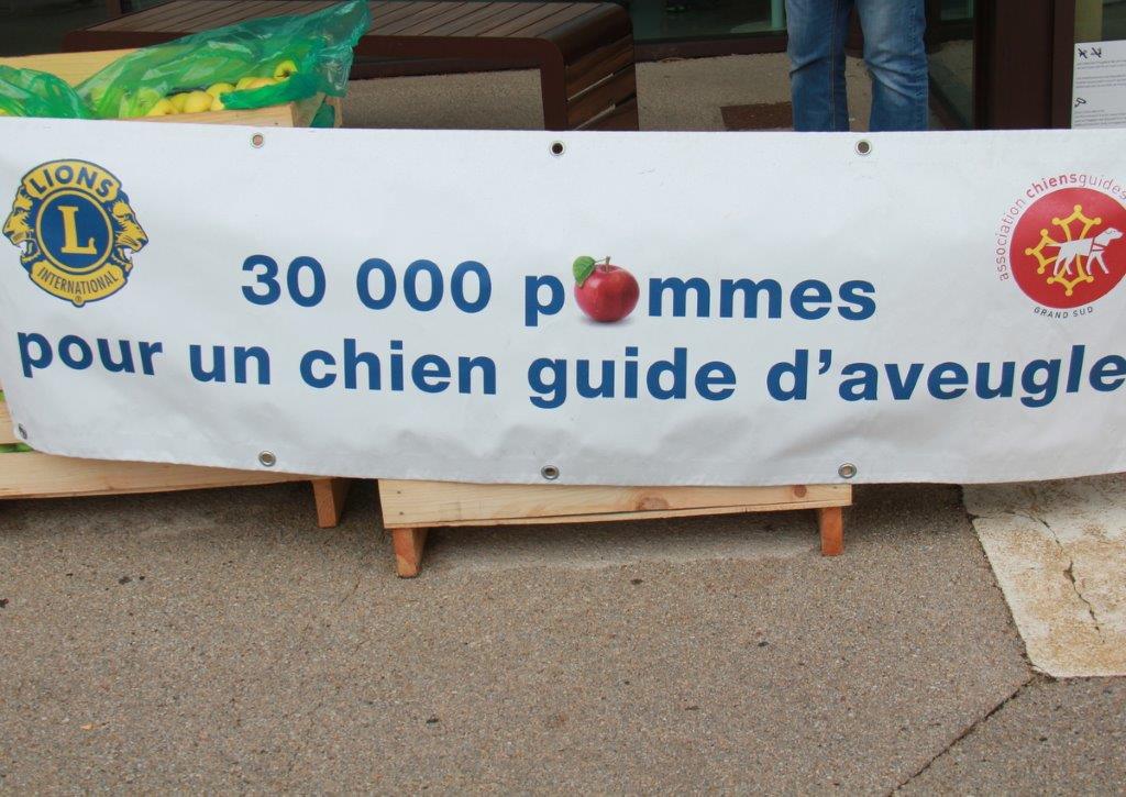 30000 pommes pour un chien guide d'aveugle