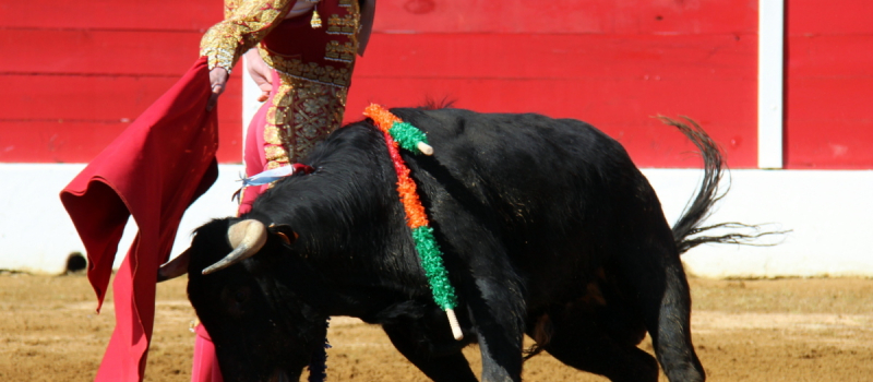 Tauromachie Aignan