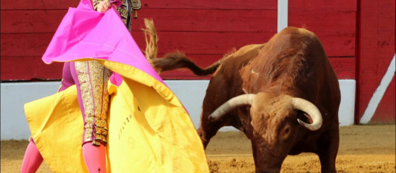 Toreros de Vic
