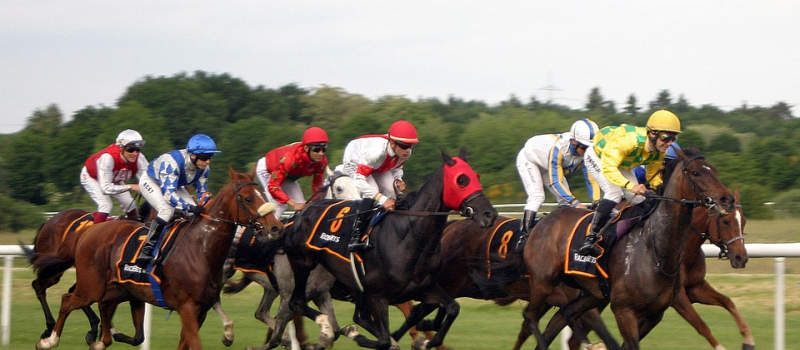 On fait quoi ce week-end ?