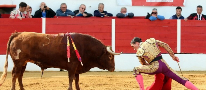 Tauromachie à Gimont