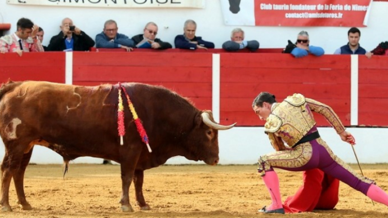 Tauromachie à Gimont