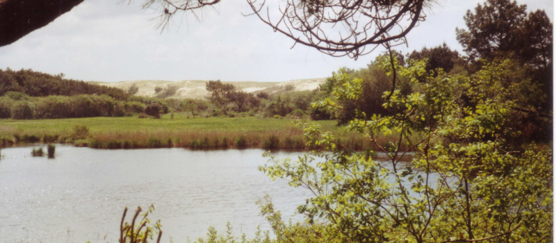Balade entre mer et lac