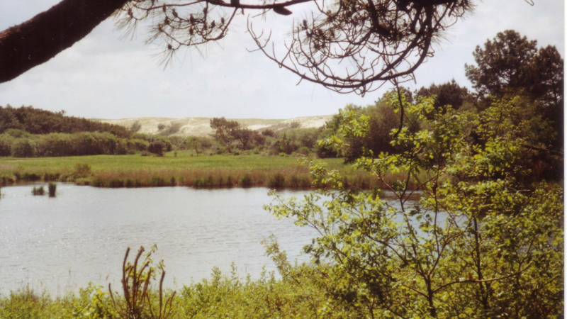 Balade entre mer et lac
