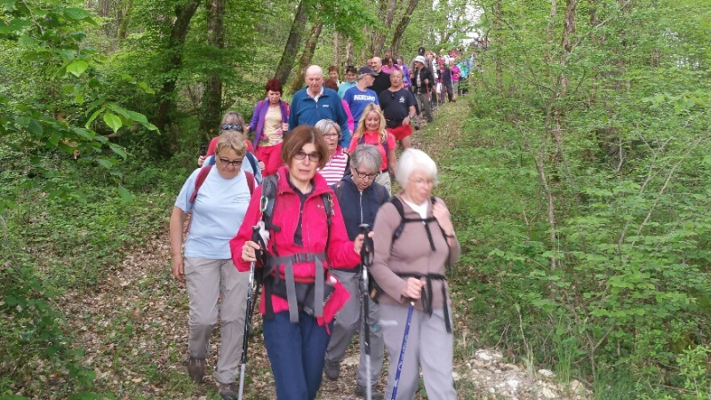 Douze clubs et 145 participants  ont participé à la rando de l'aubépine