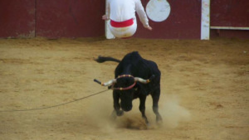 Course landaise de promotion