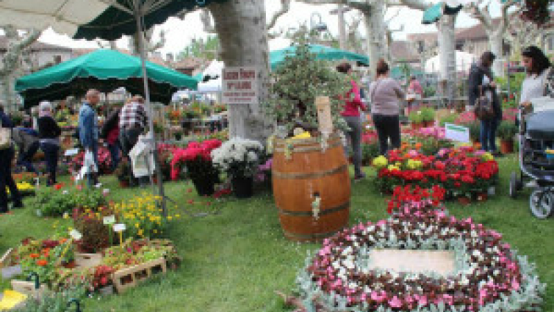 Marché aux fleurs de Fourcès, un bon cru