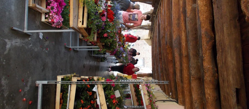 Journée du 8 mai et marché aux fleurs