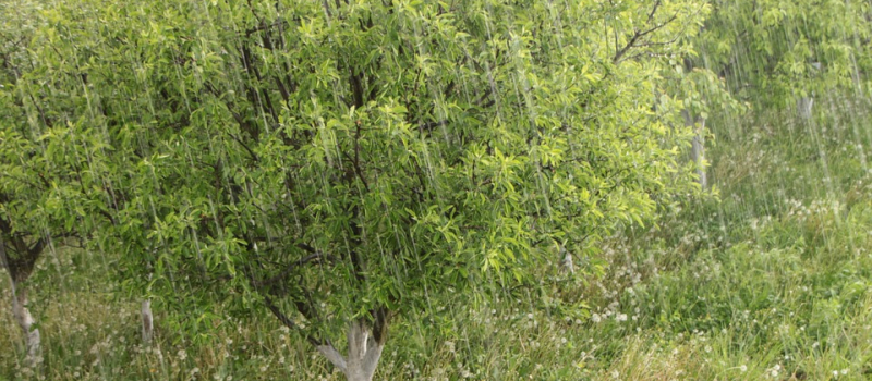 Attention aux orages