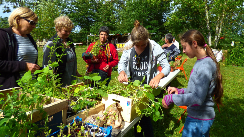 .Septième Troc de plantes au jardin partagé