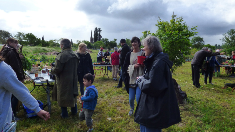 7e Troc des Plantes de Collembole