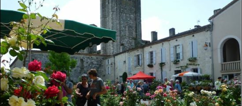 Marché aux rosiers