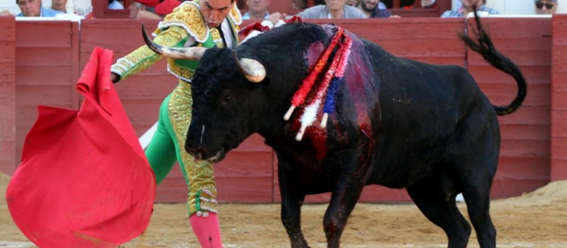 Corrida de "RASO de Portillo