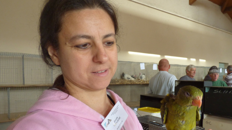 le marché aux animaux de compagnie d'Armentieux