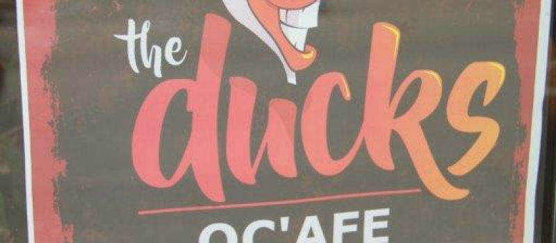 L’orchestre "The Ducks" au Oc’afé