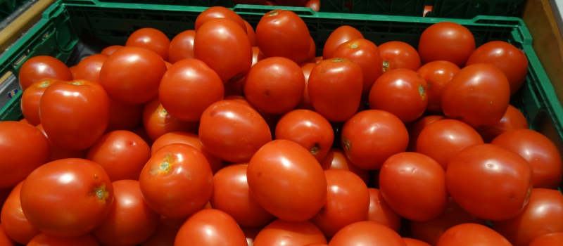 Les producteurs se mobilisent autour de Masseube