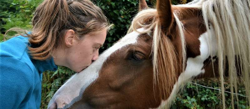 Equitation au collège vert d'Aignan.