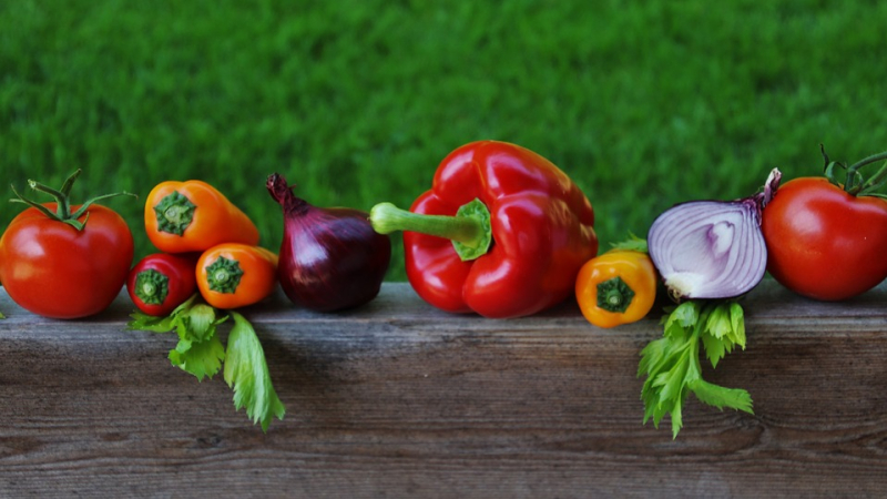 Les Hebdos Bio, premier marché des producteurs bio à Auch