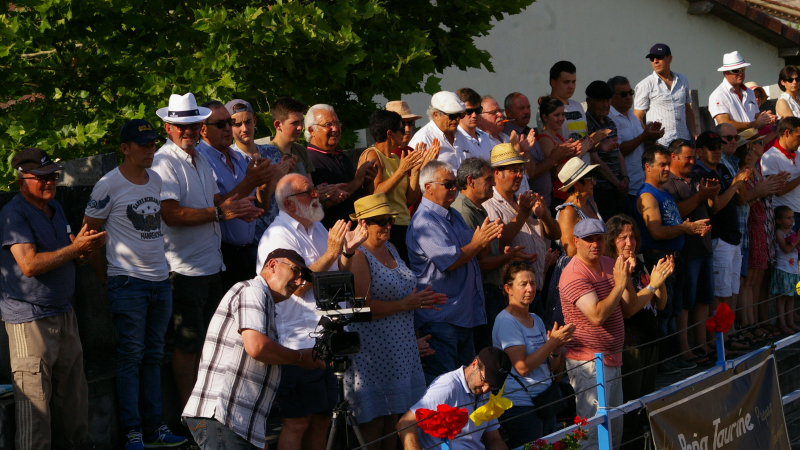Dix huitième novillada concours à Castelnau-Rivière-Basse