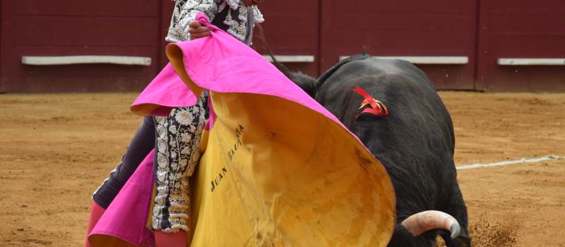 Feria d'Eauze