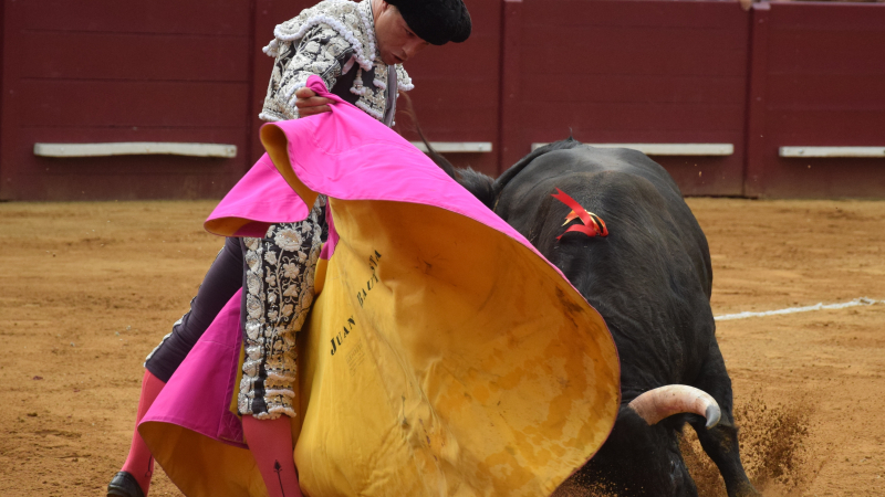 Feria d'Eauze