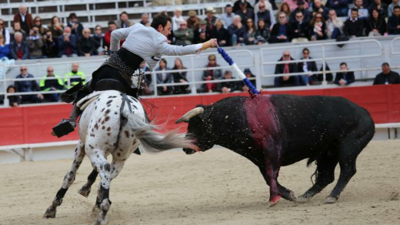 Corrida à cheval