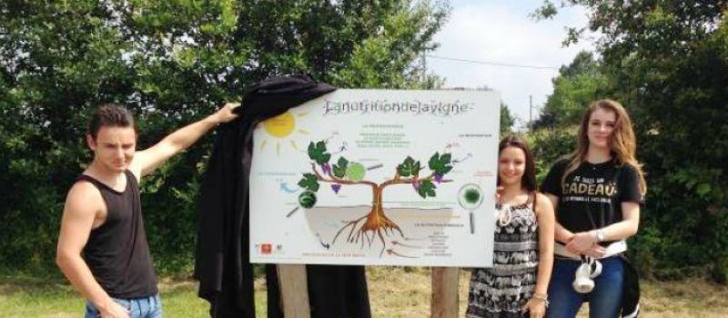 Du nouveau à l’exploitation viticole du lycée agricole de Riscle !