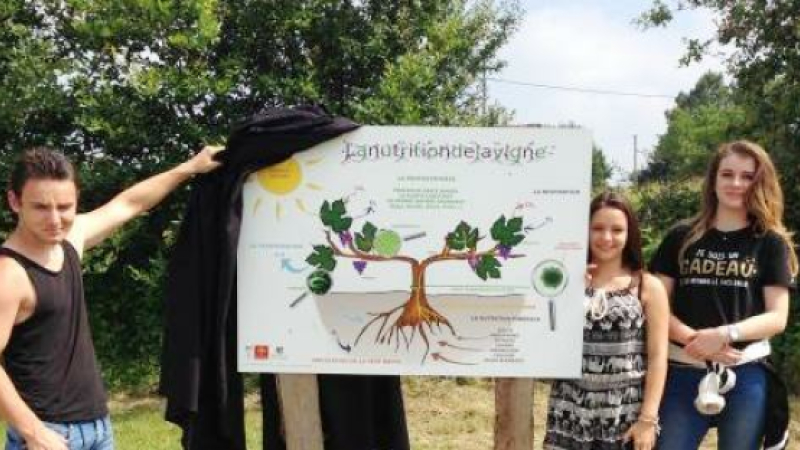 Du nouveau à l’exploitation viticole du lycée agricole de Riscle !