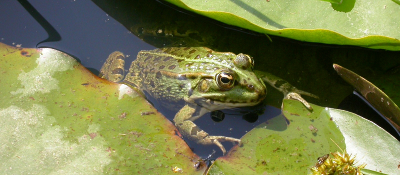 Eau et nature, les trésors du Gers