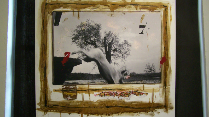 Exposition " La traversée des apparences" par l'artiste Jean-Bernard Laffitte à la galerie l'Arcade