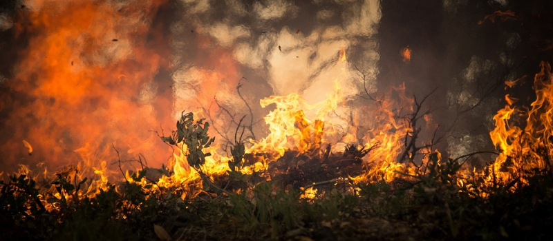 Feux de forêt : campagne de prévention