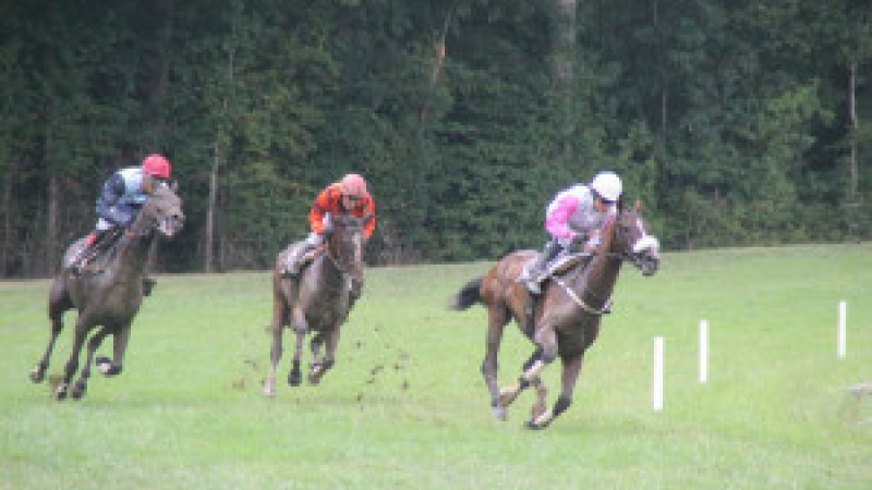  Repas et courses de chevaux