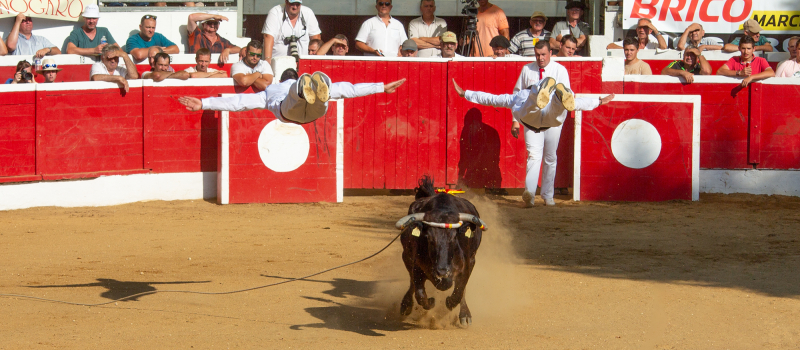 Festival de sauts et d’écarts pour la Corne d’Or de Nogaro (1re partie)