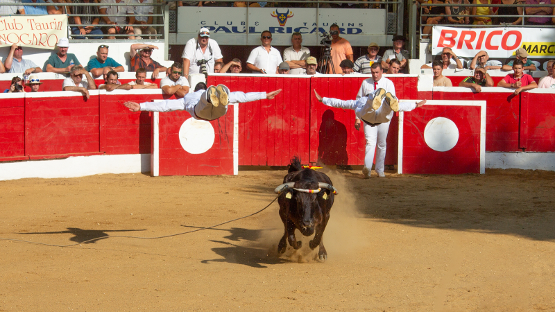 Festival de sauts et d’écarts pour la Corne d’Or de Nogaro (1re partie)