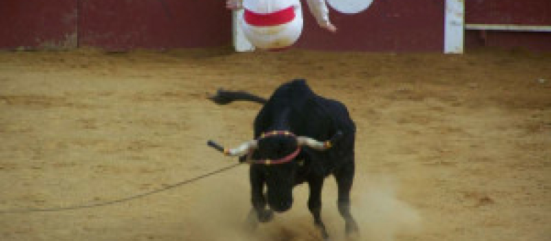 Course landaise promotion