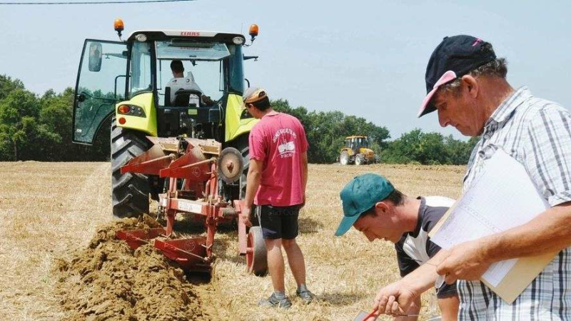 Finale Départementale de Labour