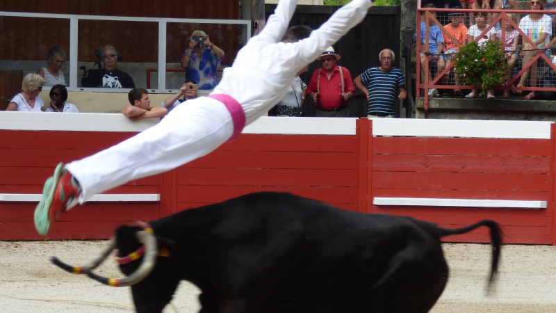 Les fêtes patronales de Marciac