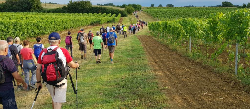 139 marcheurs à la rando des cailles