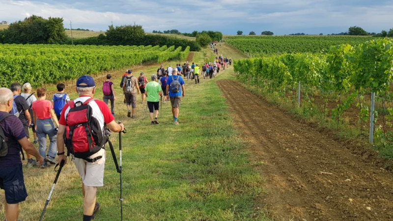 139 marcheurs à la rando des cailles