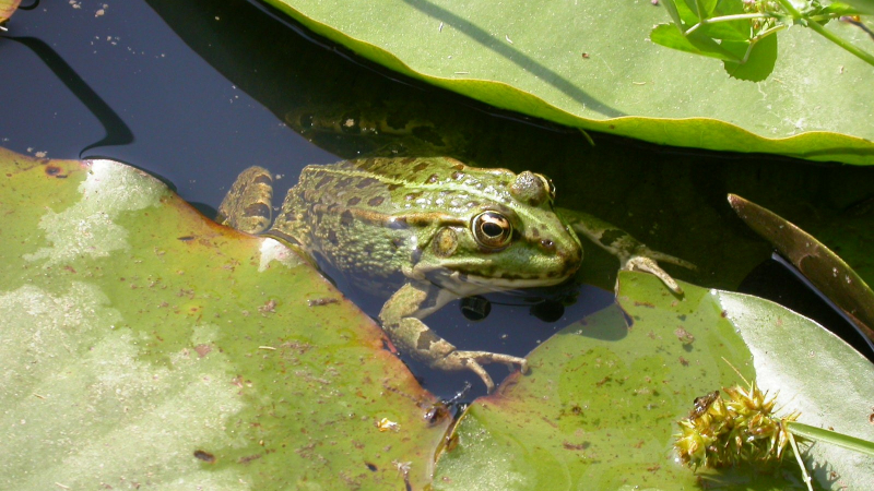 Eau et nature, les trésors du Gers