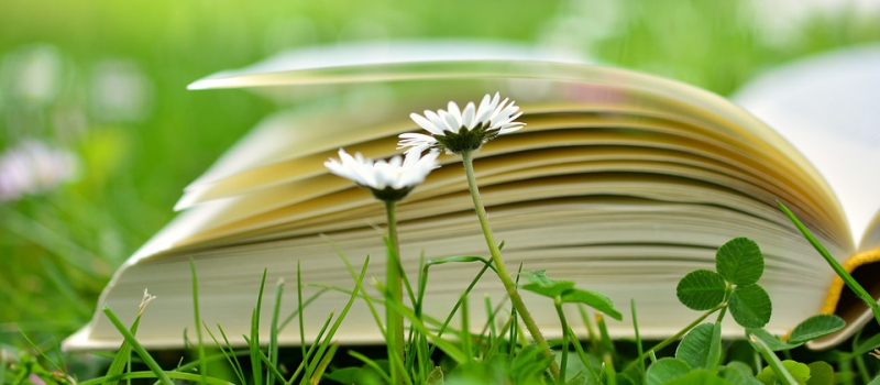 A vos marque-pages !