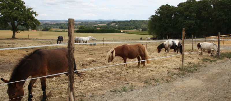 Poney Club de Corneillan